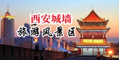 韩国烧逼中国陕西-西安城墙旅游风景区