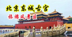 男人日女人bb的真实视频网站中国北京-东城古宫旅游风景区